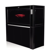 新加坡仟湖OF御龙殿三代金龙红龙鱼专用玻璃鱼缸水族箱 养龙鱼缸魟鱼缸配备底部过滤系统 218*68*167CM金边 白底